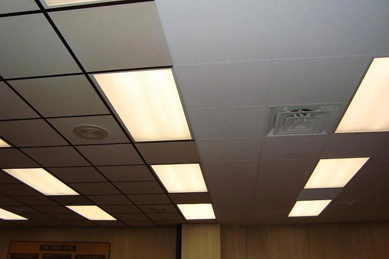Office meeting room ceiling mid-cleaning showing dramatic contrast between untreated tiles on left and cleaned tiles on right